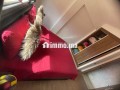 appartement-a-vos-vacances-77-j-small-1