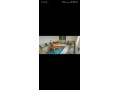 appartement-a-louer-a-la-journee-small-4