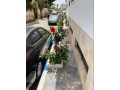 penthouse-appartement-vue-sur-mer-et-montagnes-a-martil-small-16