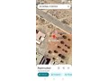 albkaa-ardy-llbyaa-small-0