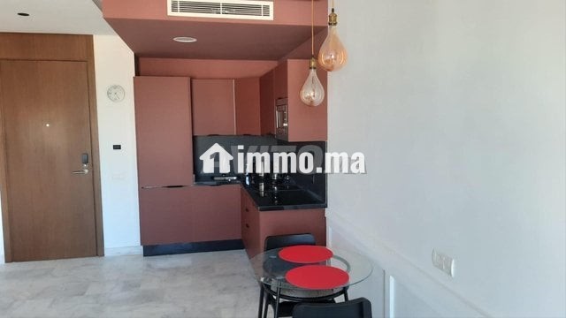 luxueux-studio-meuble-a-oasis-big-4