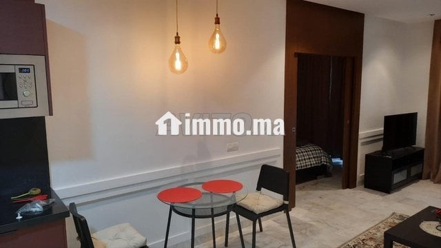 luxueux-studio-meuble-a-oasis-big-5