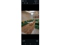 shk-llkraaa-shhry-small-0
