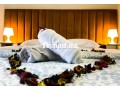 appart-confortable-et-entierement-equipe-confort-small-0