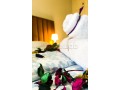 appart-confortable-et-entierement-equipe-confort-small-16