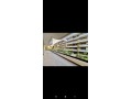luxueux-appartement-a-louer-178m2-a-californie-a-c-small-0
