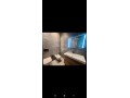 luxueux-appartement-a-louer-178m2-a-californie-a-c-small-7