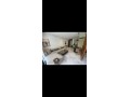 luxe-studio-meuble-a-louer-a-ferme-bretonne-a-casa-small-10