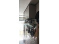 appartement-moderne-a-vendre-small-6
