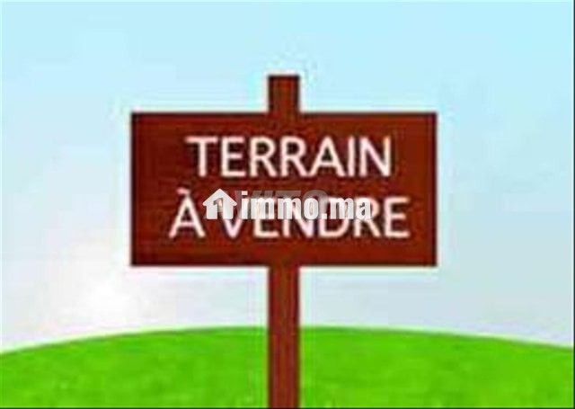 hectare-a-vendre-a-route-de-tamsalouht-big-0