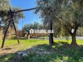 villa-a-louer-bien-equipee-small-7