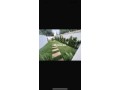 appartement-a-louer-neuf-red-jardin-small-3