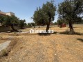 terrain-titre-r2-centre-ville-amizmiz-small-0