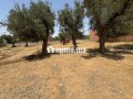 terrain-titre-r2-centre-ville-amizmiz-small-5