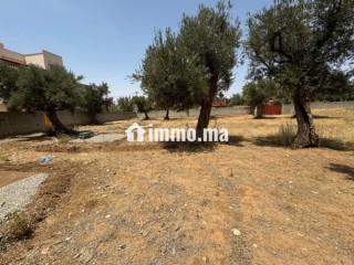 terrain-titre-r2-centre-ville-amizmiz