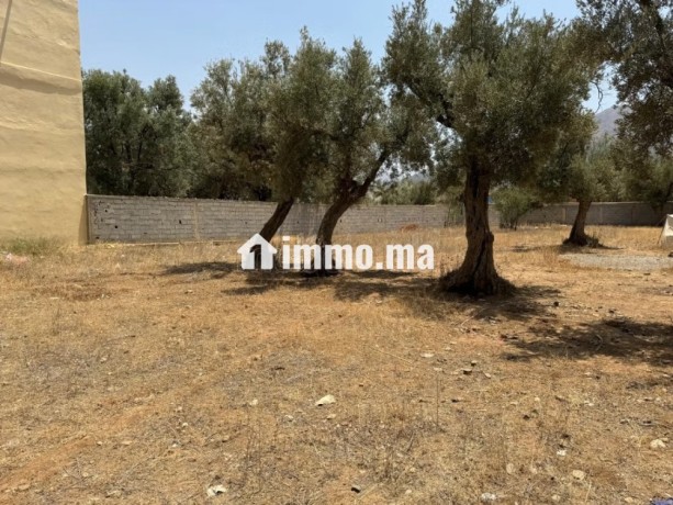 terrain-titre-r2-centre-ville-amizmiz-big-9