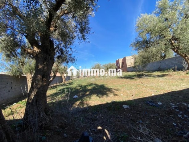 terrain-titre-r2-centre-ville-amizmiz-big-13