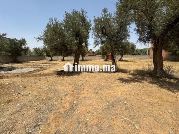 terrain-titre-r2-centre-ville-amizmiz-big-8