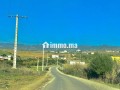 ard-llbyaa-tryk-tng-ttoan-small-6