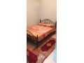 shk-aaayly-llkraaa-alyomy-small-5