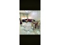 appartement-de-vacances-a-louer-a-ain-amiyer-2-pieces-porte-blindee-salon-marocain-traditionnel-small-0