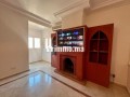superbe-appartement-refait-a-neuf-small-1