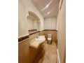 superbe-appartement-refait-a-neuf-small-8