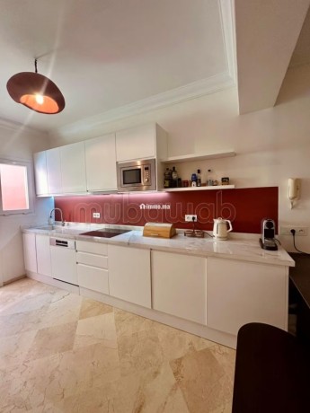 superbe-appartement-refait-a-neuf-big-4