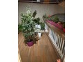 maison-a-vendre-a-mohammedia-small-6