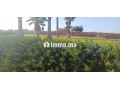 villa-titree-a-vendre-a-tameslouht-small-10