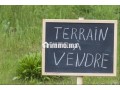 terrain-a-vendre-a-blfa3-titree-2-hectar-avec-mur-small-0