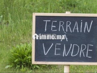 terrain-a-vendre-a-blfa3-titree-2-hectar-avec-mur