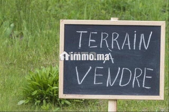 terrain-a-vendre-a-blfa3-titree-2-hectar-avec-mur-big-0
