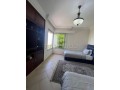 un-magnifique-appartement-meuble-a-louer-small-9