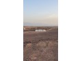 terrain-a-vendre-small-0