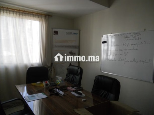bureau-a-louer-a-palmier-big-2