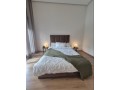 super-appartement-meuble-el-menzeh-small-0