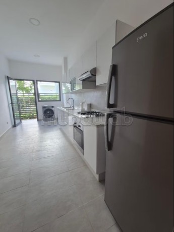 super-appartement-meuble-el-menzeh-big-7