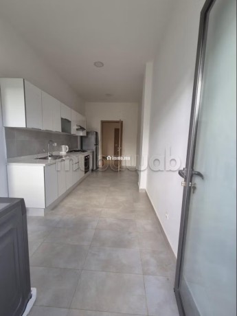 super-appartement-meuble-el-menzeh-big-8