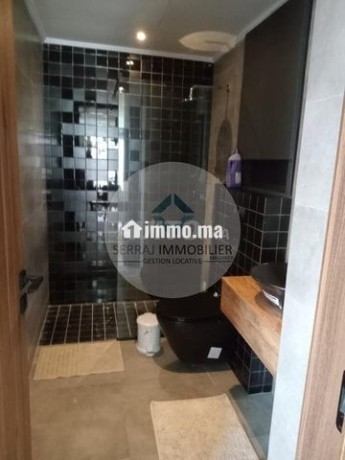 a-louer-appartement-meuble-a-palmier-big-1