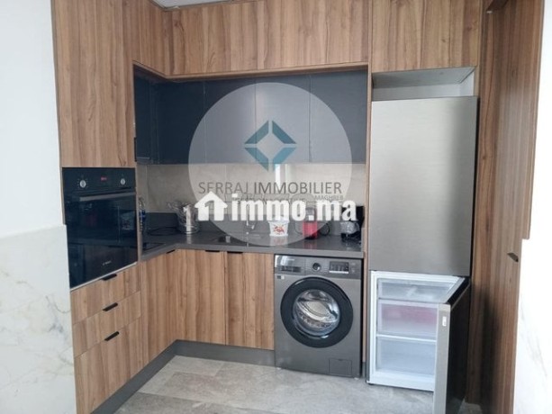 a-louer-appartement-meuble-a-palmier-big-2