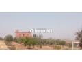 fyrma-rayaa-3-hktar-tytr-small-5