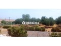 fyrma-rayaa-3-hktar-tytr-small-6