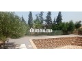 fyrma-rayaa-3-hktar-tytr-small-7