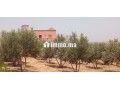 fyrma-rayaa-3-hktar-tytr-small-8