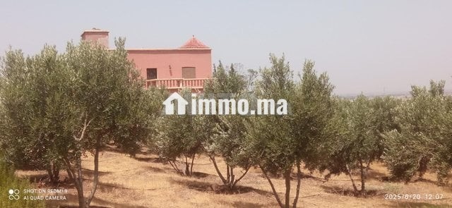 fyrma-rayaa-3-hktar-tytr-big-8