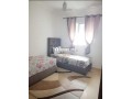 appart-65-m2-meuble-proche-de-laeroport-small-3