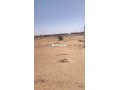 7alhktar-tryk-amzmyz-tmsloht-small-1