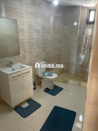 appartement-meuble-en-location-big-9