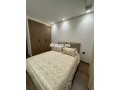 magnifique-studio-meuble-small-3